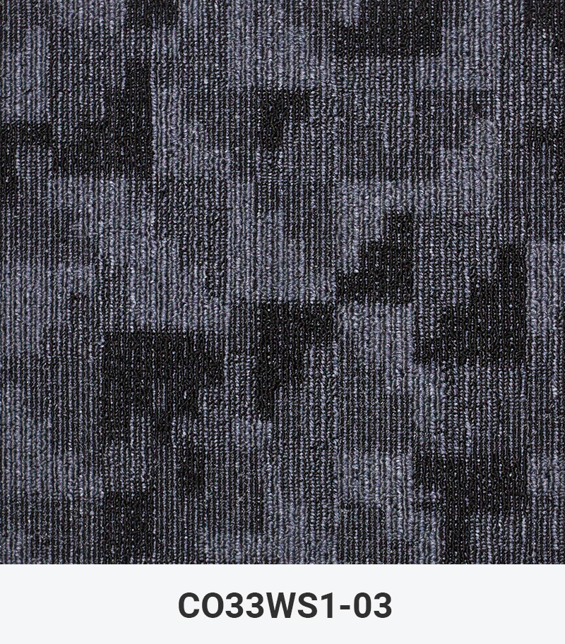 CO33WS1-03