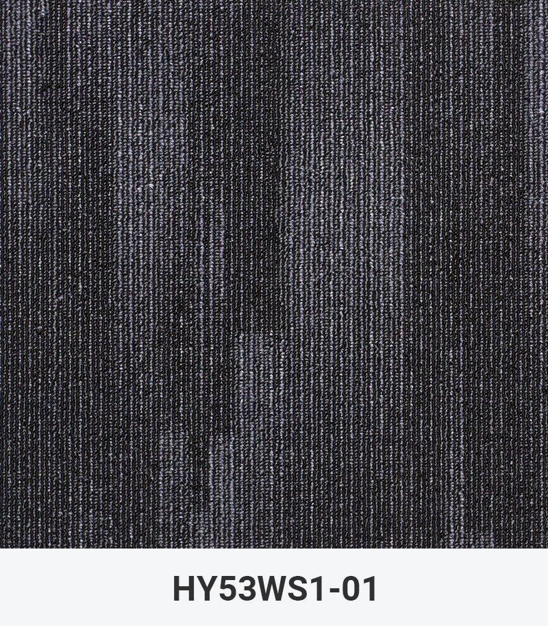 HY53WS1-01