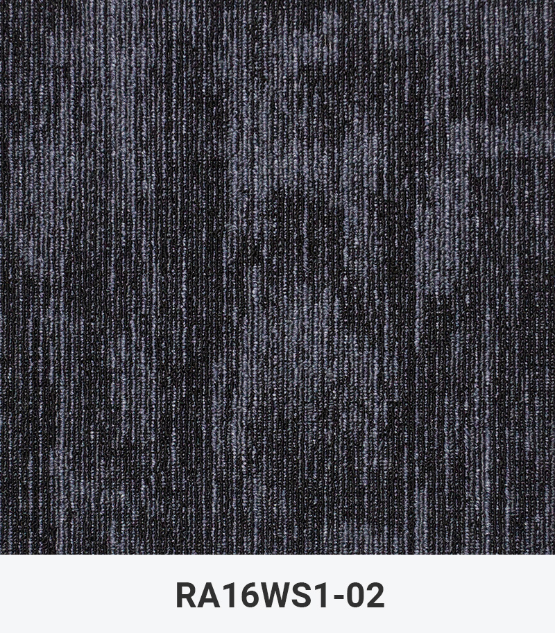 RA16WS1-02