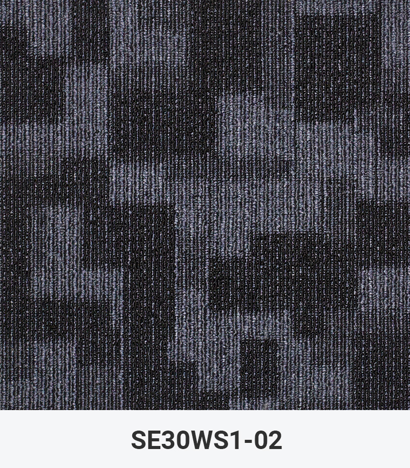 SE30WS1-02